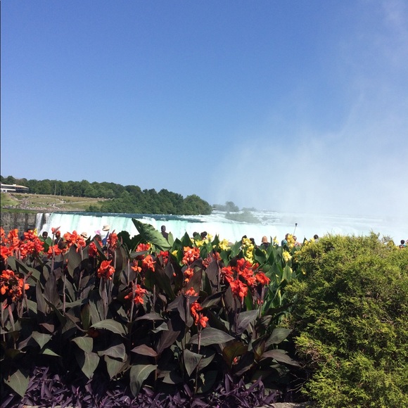 Welcome! - Picture 2 of 2